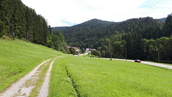 Be Me Black Forest Family Apartment -Zum Letzten G'Stehr Bad Rippoldsau-Schapbach Kültér fotó